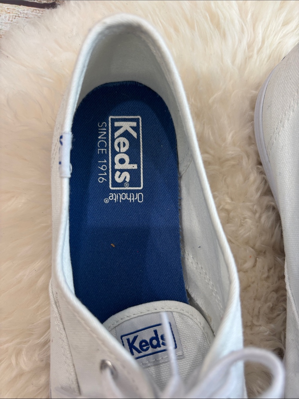 Keds Canvas Lace-Up Sneakers - Picture 2 of 13